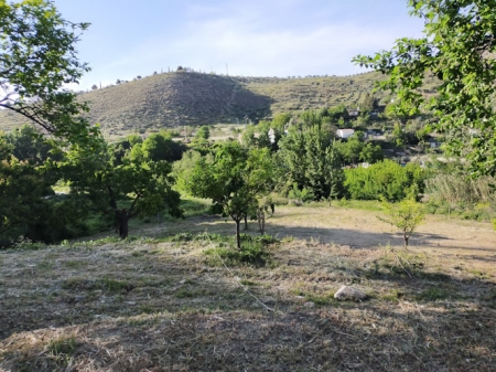 Huerto ecológico de Monachil (AYTO. MONACHIL)