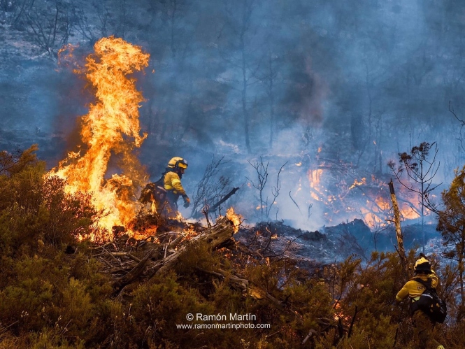 Efectivos del Infoca luchan contra el fuego en Los Guájares (RAMÓN MARTÍN /PLAN INFOCA)