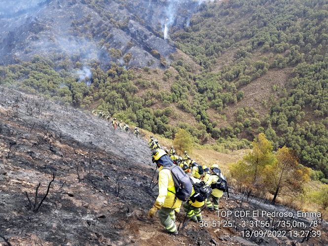 Bomberos del INFOCA trabajan en la zona del incendio (INFOCA)