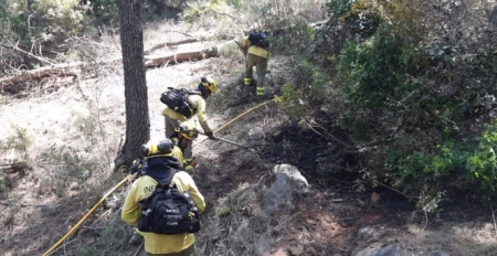 Bomberos forestales del Plan Infoca, archivo (PLAN INFOCA) 