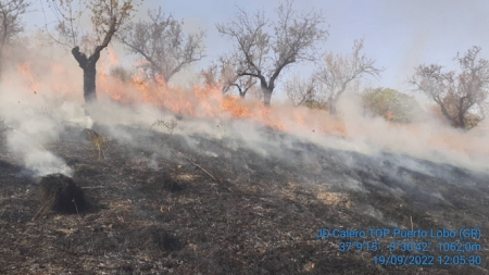 Incendio en Pinos Genil (INFOCA)