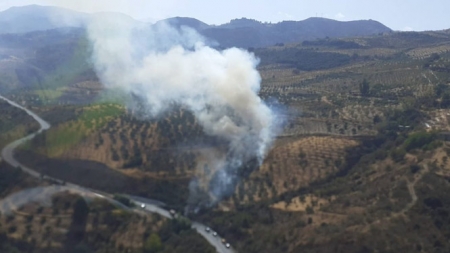 Incendio en Pinos Genil (INFOCA)