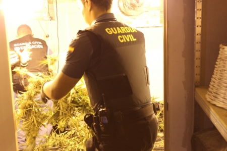 Agentes de la guardia civil en la plantación (GUARDIA CIVIL)
