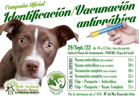 (AYUNTAMIENTO VEGAS DEL GENIL)