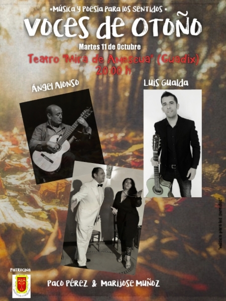 (AYUNTAMIENTO GUADIX)