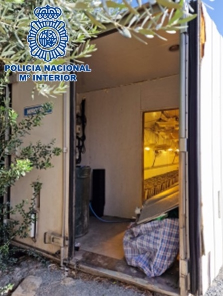 Cultivo en Semiremolque (POLICÍA NACIONAL) 