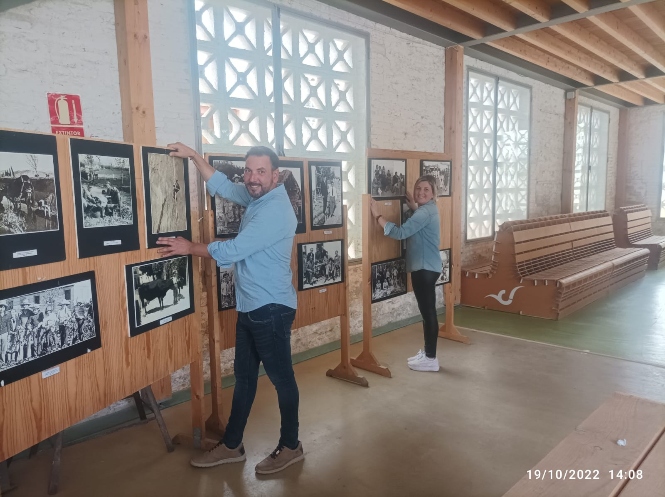 (AYUNTAMIENTO VEGAS DEL GENIL) 