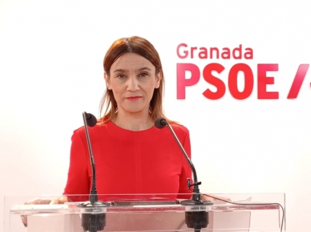 La parlamentaria andaluza del PSOE, Olga Manzano (PSOE) La parlamentaria andaluza del PSOE, Olga Manzano (PSOE)