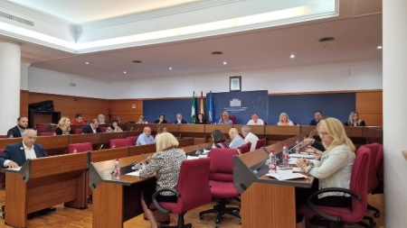 Pleno del Ayuntamiento de Motril (AYUNTAMIENTO) 