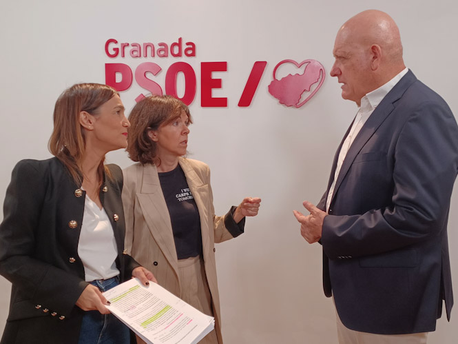 Parlamentarios andaluces del PSOE (PSOE)