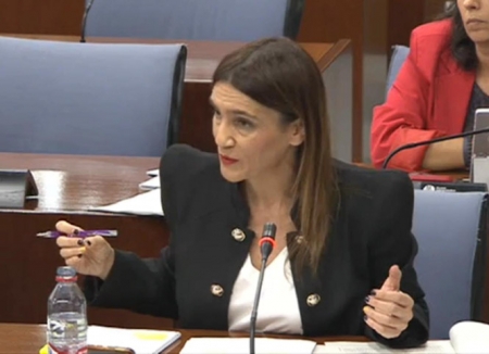 La parlamentaria andaluza del PSOE, Olga Manzano (PSOE) La parlamentaria andaluza del PSOE, Olga Manzano (PSOE)