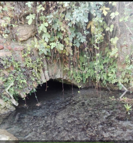 Manantial de Martinete (AYTO. FUENTE VAQUEROS) 