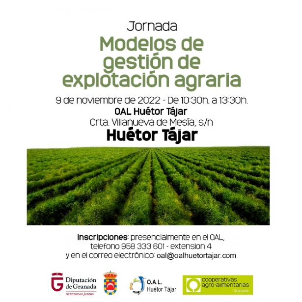 (AYTO. HUÉTOR TÁJAR) 