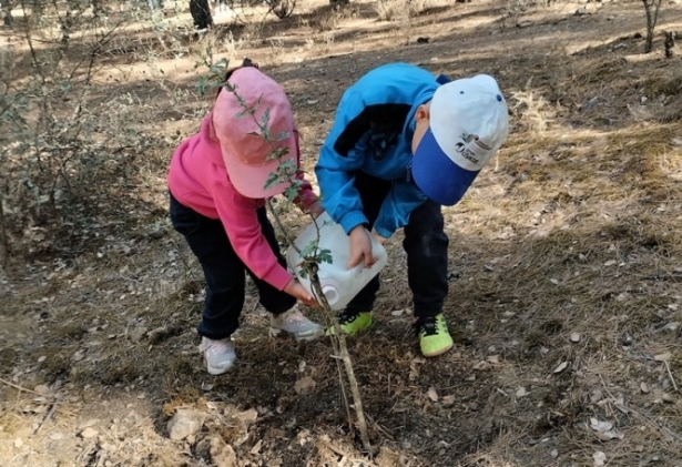 Plantación de árboles en Albolote (AYTO. ALBOLOTE)