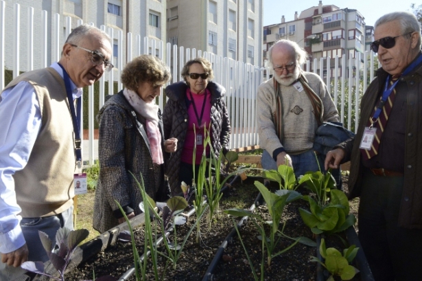 Huerto ecológico en el Parque de las Ciencias (PARQUE DE LAS CIENCIAS)
