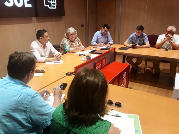 La europarlamentaria, Clara Aguilera en la sede provincial del PSOE (PSOE) La europarlamentaria, Clara Aguilera en la sede provincial del PSOE (PSOE)