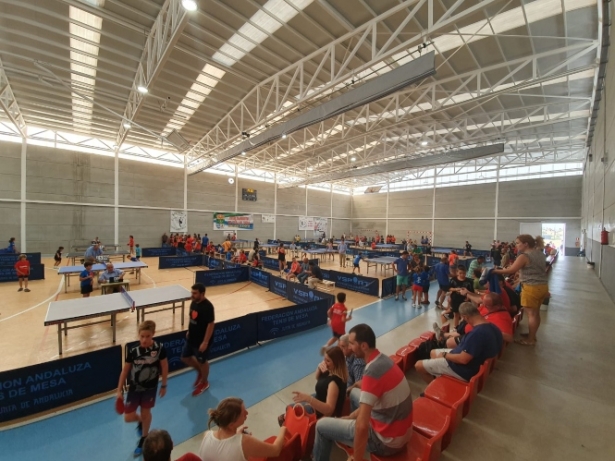 (AYUNTAMIENTO CÚLLAR VEGA) 