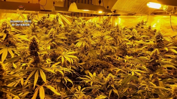Imagen de archivo de un centro de producción de marihuana (GUARDIA CIVIL) 