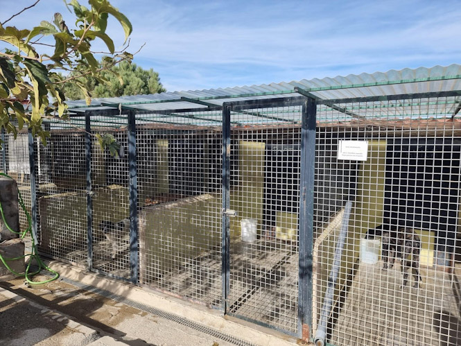 (AYUNTAMIENTO CÚLLAR VEGA)