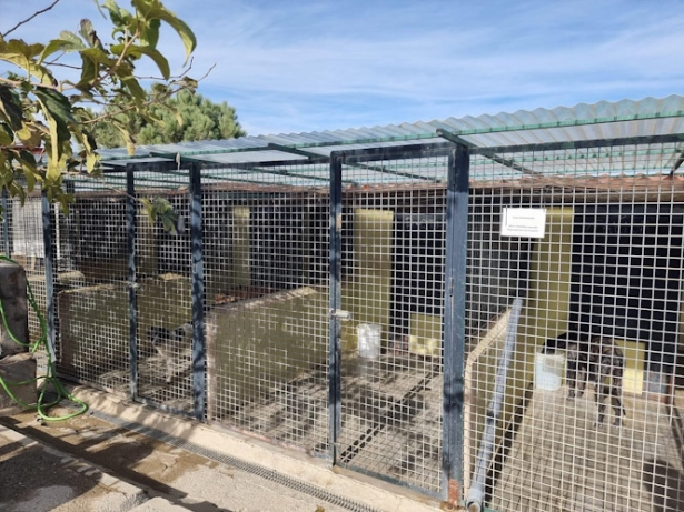 (AYUNTAMIENTO CÚLLAR VEGA)