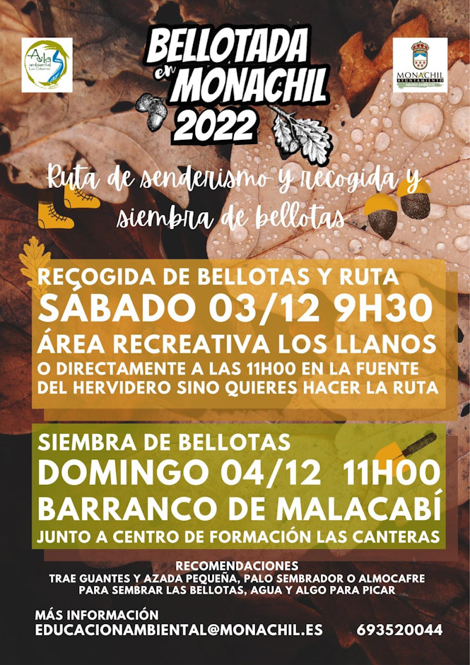 (AYUNTAMIENTO MONACHIL)