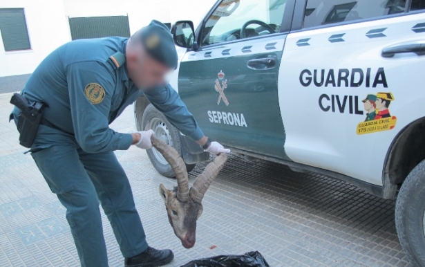 Agente de la Guardia Civil con la cabeza del animal (GUARDIA CIVIL) 