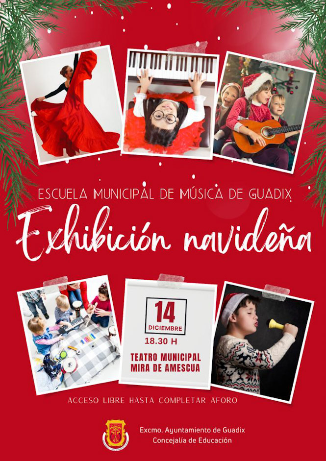 (AYUNTAMIENTO GUADIX)