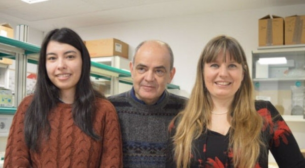 Científicos detectan la unión de dos proteínas que intervienen en el cáncer (FUNDACIÓN DESCUBRE)