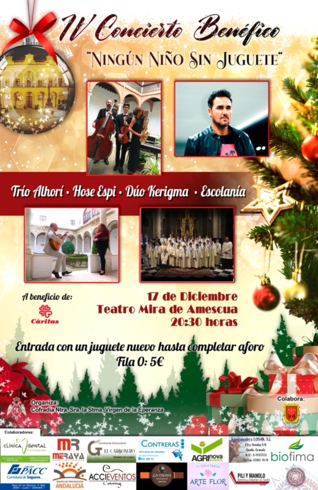 (AYUNTAMIENTO GUADIX)