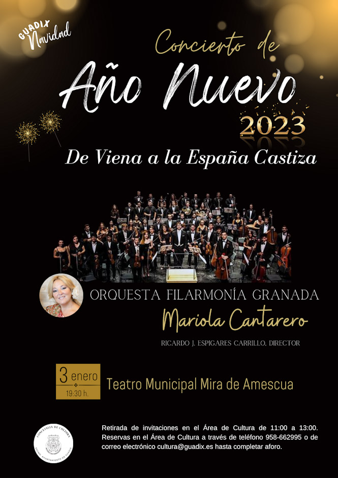 (AYUNTAMIENTO GUADIX)