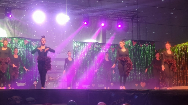 Gala solidaria organizada por el club de gimnasia rítmica `Villa de Otura` (AYTO. OTURA) 