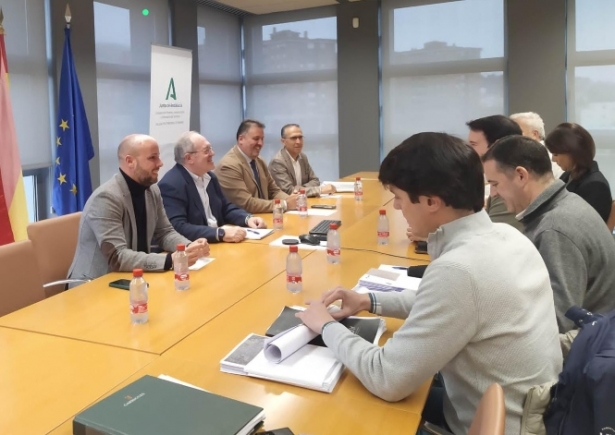 Imagen de la reunión (JUNTA)