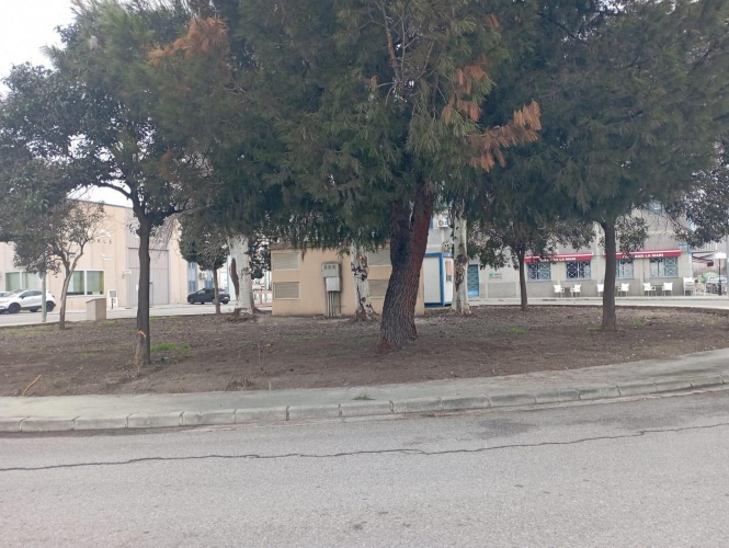 (AYUNTAMIENTO FUENTE VAQUEROS) 