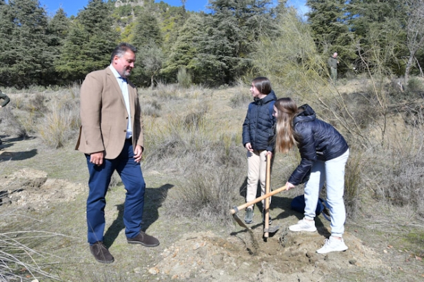 Plantación de árboles (JUNTA)