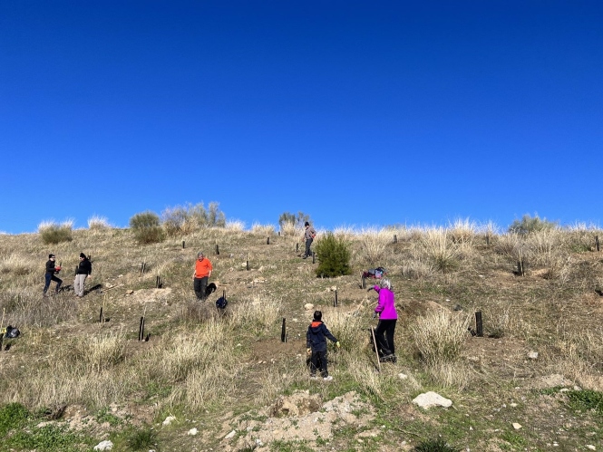 Empleados de Caja Rural Granada y sus familias inician la plantación del bosque de la fundación de la entidad (CAJA RURAL GRANADA) 