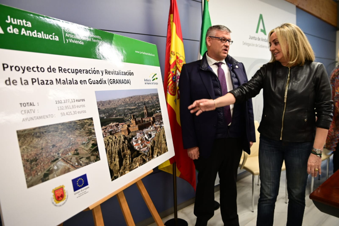 Presentación del proyecto (JUNTA) 