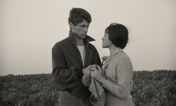 Los Verdes Años (Junta)