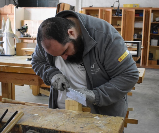 (CONSORCIO VEGA SIERRA ELVIRA) 