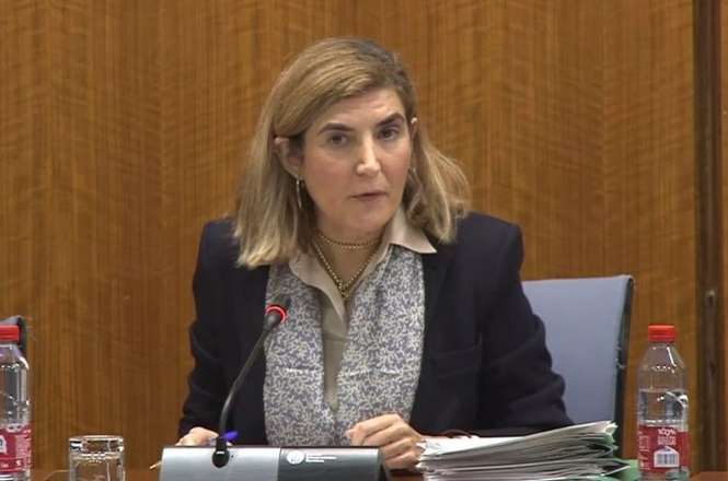 La consejera de Empleo, Empresa y Trabajo Autónomo, Rocío Blanco, en comisión parlamentaria.(JUNTA DE ANDALUCÍA)
