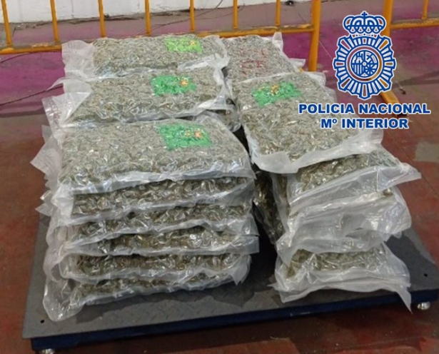 Marihuana intervenida (POLICÍA NACIONAL)