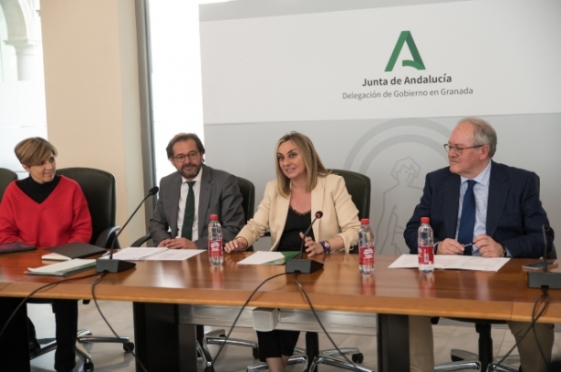 Imagen de la mesa de trabajo (JUNTA)