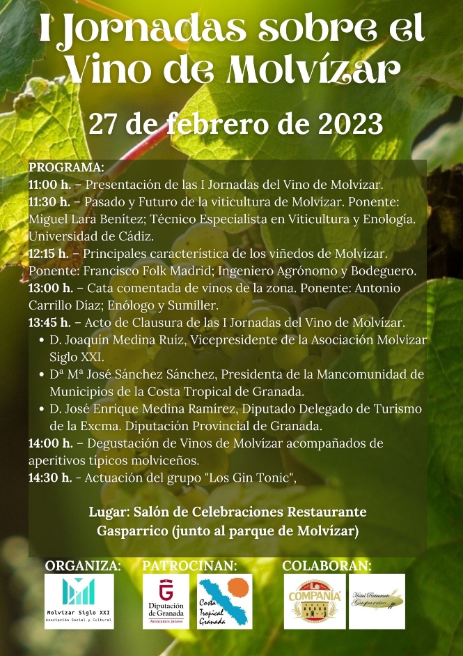 (ASOCIACIÓN MOLVÍZAR SIGLO XXI) 