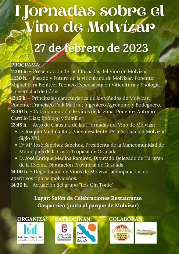 (ASOCIACIÓN MOLVÍZAR SIGLO XXI) 