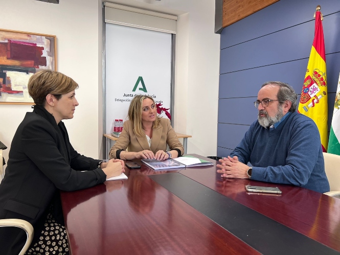 Imagen de la reunión (JUNTA)