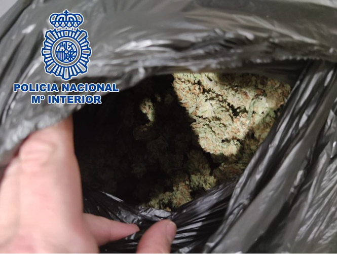 Marihuana incautada (POLICÍA NACIONAL)