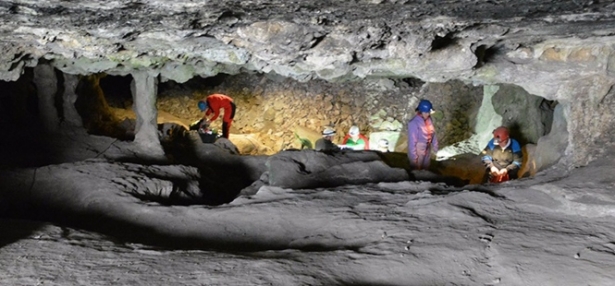 Un equipo de investigadores internacionales hallan el genoma humano más antiguo del sur de la Península Ibérica en una cueva de Granada (UCA) Un equipo de investigadores internacionales hallan el genoma humano más antiguo del sur de la Península Ibérica en una cueva de Granada (UCA)