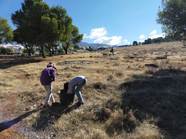 Jornada de reforestación anterior (AYUNTAMIENTO MONACHIL)