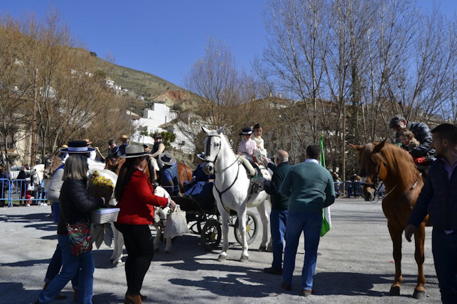 I Día del Caballo de Monachil (AYTO. MONACHIL?