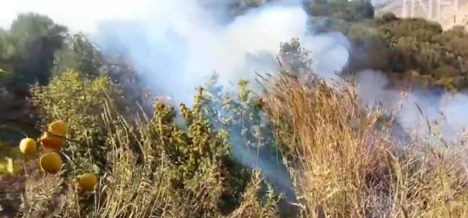 Lugar del incendio (INFOCA) 