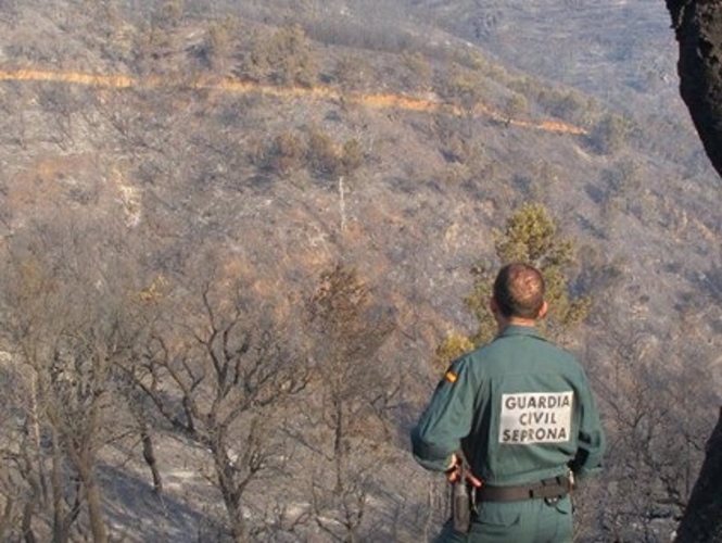 Agente de la Guardia Civil en un área forestal de la provincia de Granada (GUARDIA CIVIL)